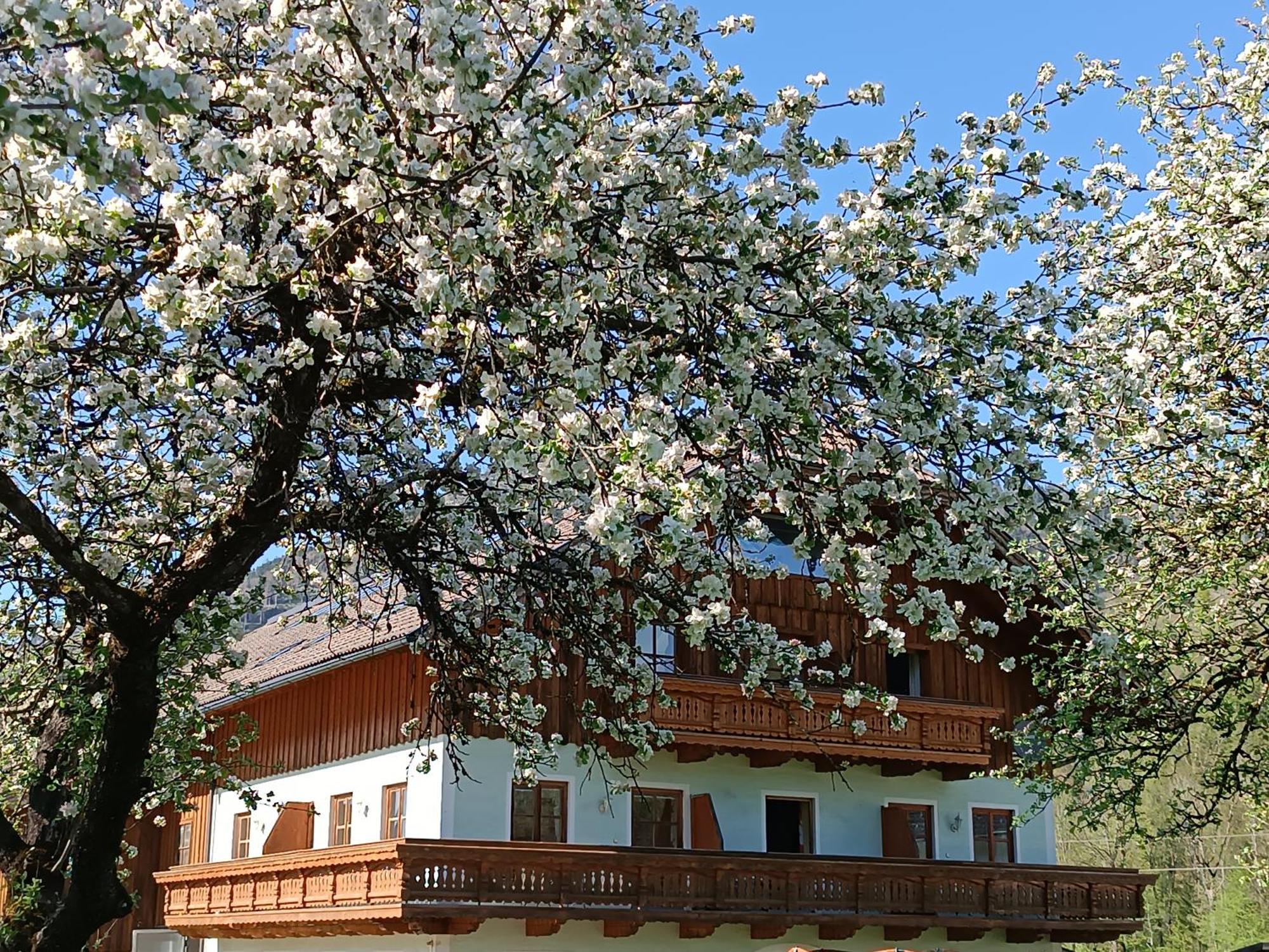 Hintererhof Lägenhet Hintersee Exteriör bild