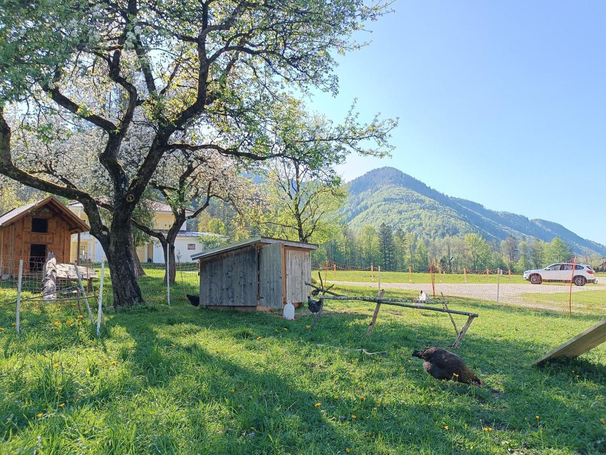 Hintererhof Lägenhet Hintersee Exteriör bild