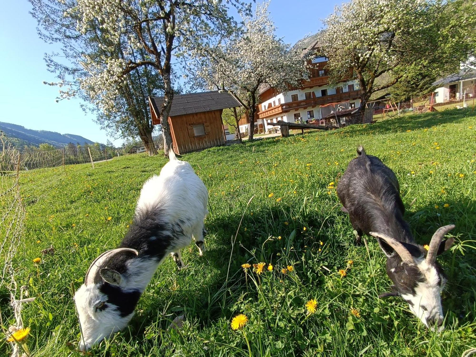 Hintererhof Lägenhet Hintersee Exteriör bild