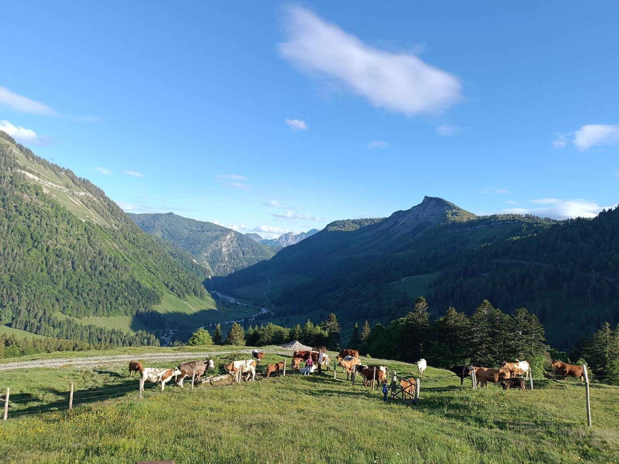 Hintererhof Lägenhet Hintersee Exteriör bild